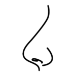 Jevons Treatements - Nose Icon